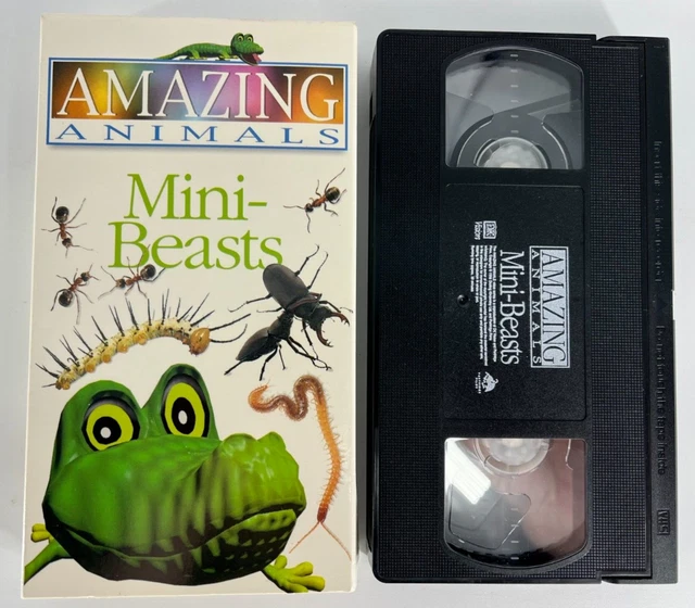 Amazing Animals Mini Beasts Vhs 1997 Kids Educational 7 13