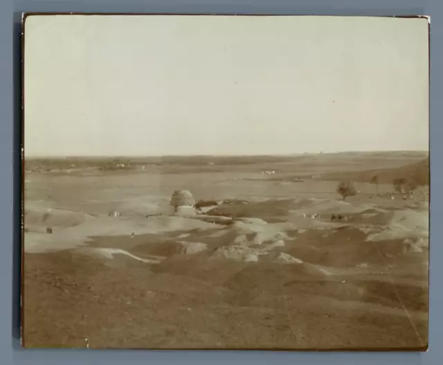 Egypte, Paysage  Vintage citrate print. Tirage citrate  10x12  Circa 190