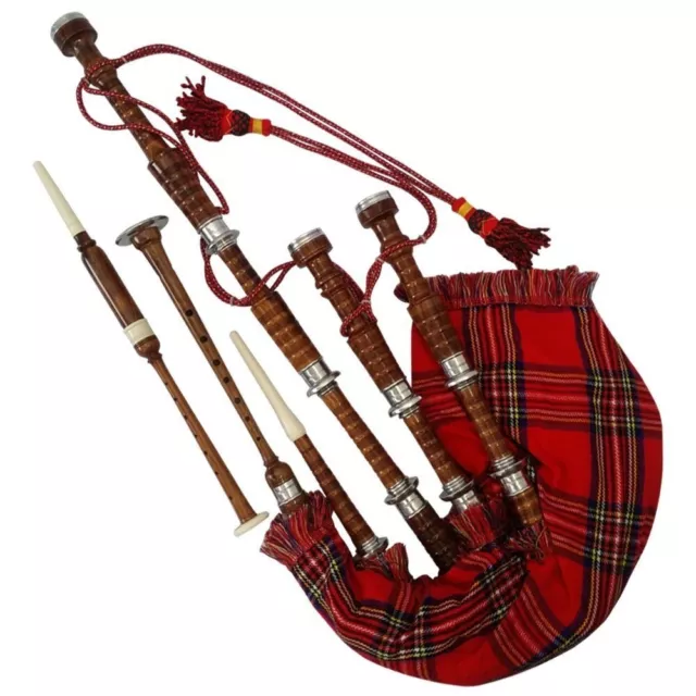 Brand New Scottish Great Highland Natural Bagpipes Silver mounts Rosewood