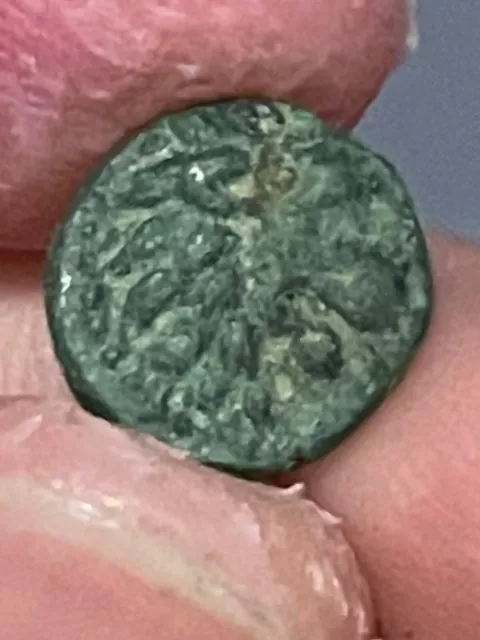309 - 220 BC Thrace: Lysimaacheia Lion and grainstalk rare Very Fine