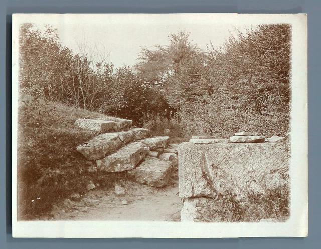 France, Ruins of Champlieu les Bains (Oise), Vintage Silver Theatre Marches