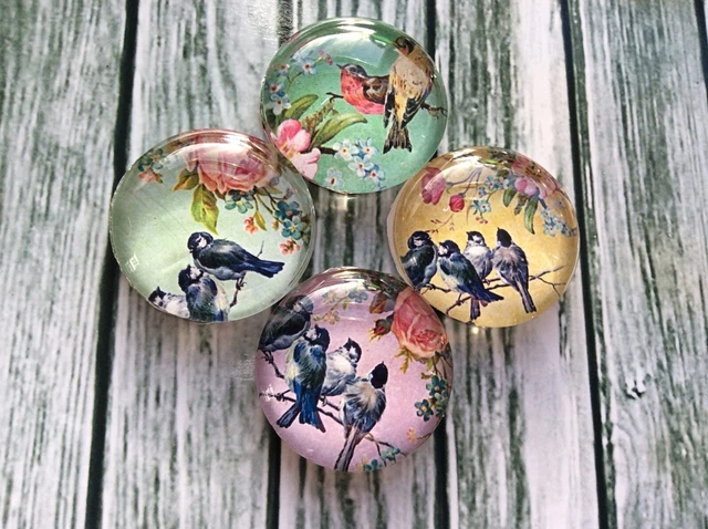 10 Pastel Floral Birds Cabochons 16-25mm Mixed Round Glass Cabochon Flat Back 2