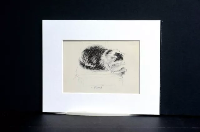 Lucy Dawson PUDGY the CAT KITTEN Sleeping Napping 1946 Vintage Art Print Matted 3