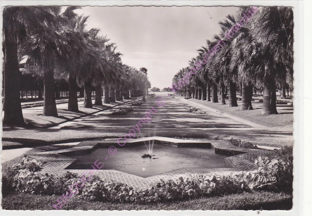 Cpsm Morocco Casablanca Park Lyautey Basin Flower Beds EDT Marti
