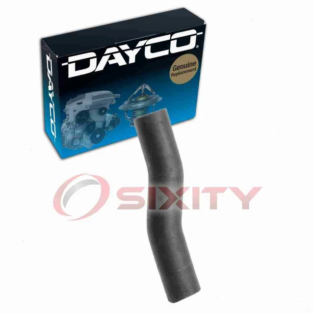 Dayco Lower Water Pump To Water Manifold Radiator Hose for 1987-1997 Jaguar qy