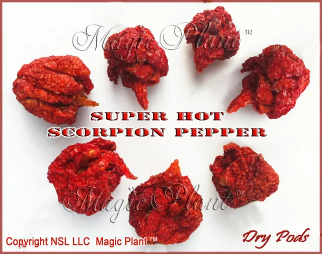 Dried Trinidad Scorpion STEMLESS Whole Pods 1KG (2.2LB) | Scorpion Butch T