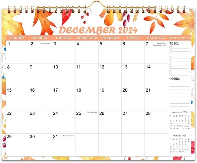 20242025 CALENDAR Wall from Apr 2025 14.5" x 11.5", Four Seasons 16