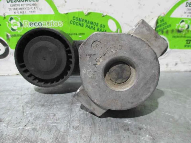 6C1Q6A228 galet pour FORD TRANSIT CAJA CERRADA 06 2.2 TDCI CAT 0.06 -
