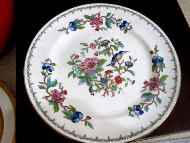 Aynsley bone china DINNER  plate, PEMBROKE, 23.5 CM, UNUSED