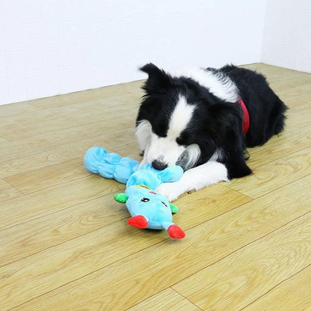 Dog Squeak Sound Toy, Pet Sniff Toys Treat Dispenser, Puppy Playing Sniffing
