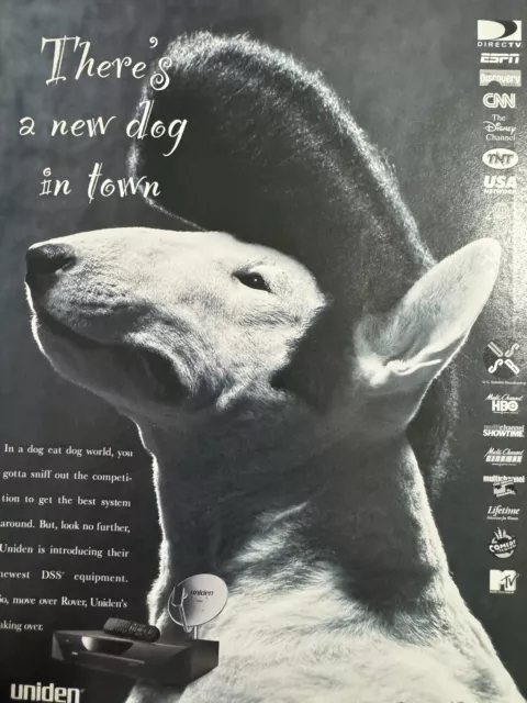 Dog With Elvis Hair Magazine Music Ad