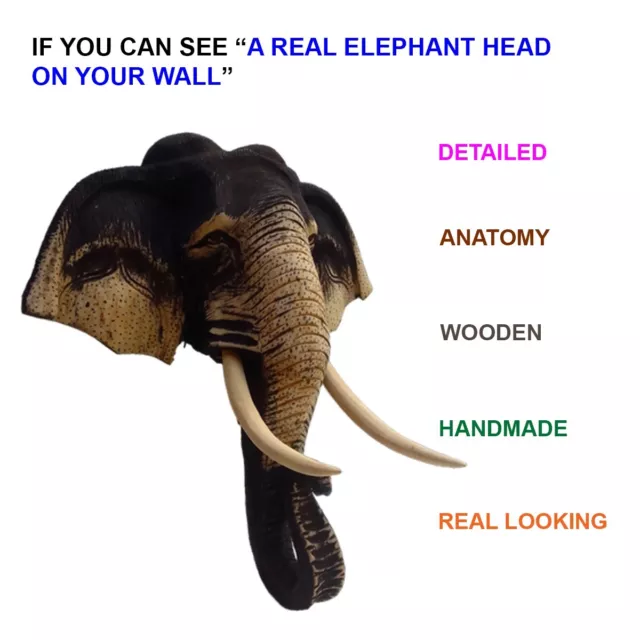 Wall Art Elephant Head  Home Carved Décor Sculpture Hanging Wood Wooden Handmade
