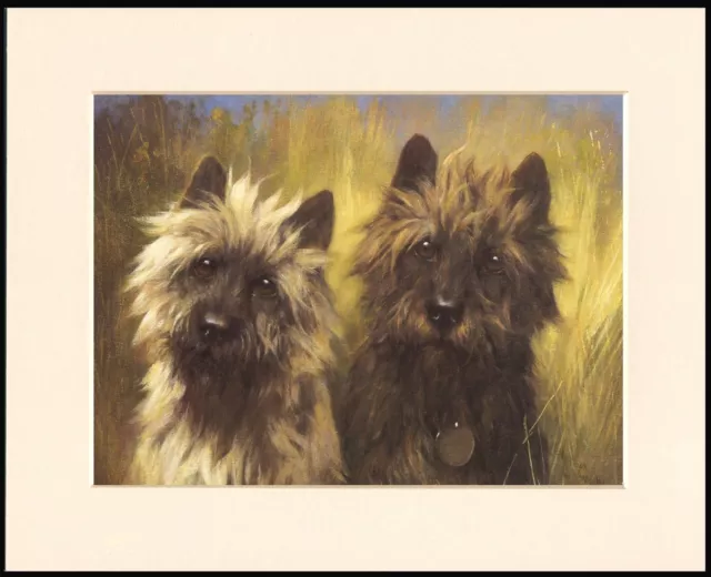 Cairn Terrier Great Head Study Print Two Dogs Mounted Dog Print Ready To Frame