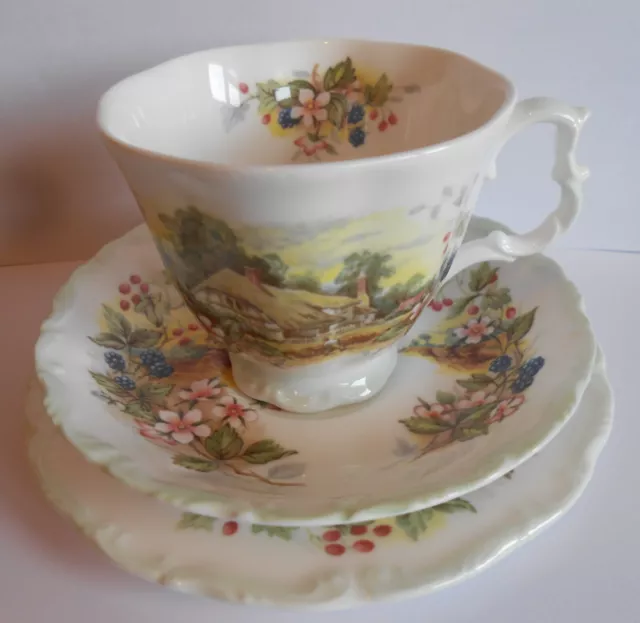 Royal Albert Bone China 'Autumn' Trio From the 'Cottage Garden Year Series' A/F