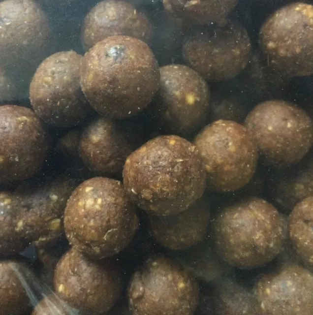 DYNAMITE BAITS SPICY SAUSAGE 15mm BOILIES - CARP BAIT - TASTER PACKS