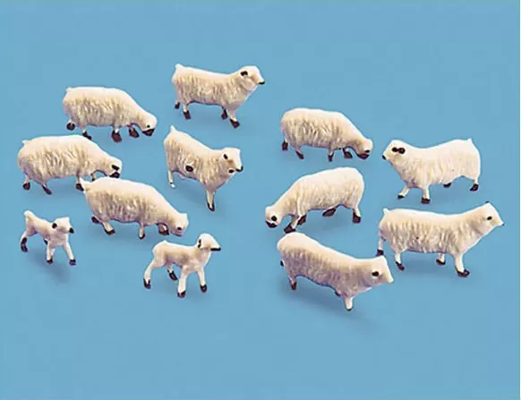 Peco Oo Sheep And Lambs