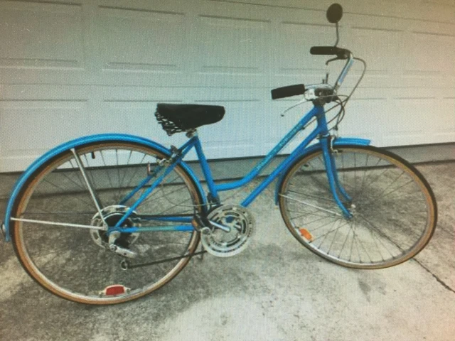 schwinn suburban vintage blue