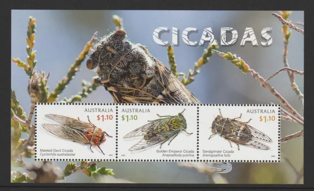 Australia 2022 : Cicadas - Minisheet - Mint Never Hinged