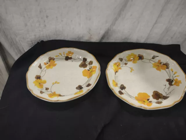 Pair Mikasa Garden Club MAYFAIR EC409 Dinner Plate 10 3/4" Orange