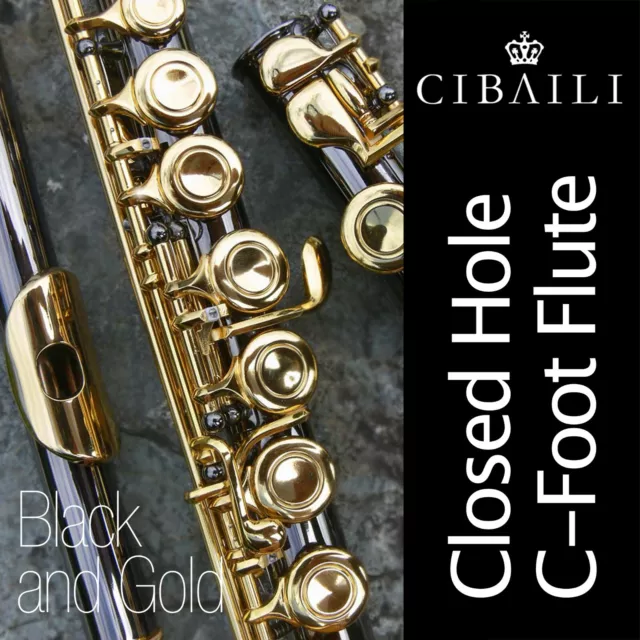 BLACK and GOLD Cibaili C foot FLUTE • BRAND NEW • Case • Perfect For School  •