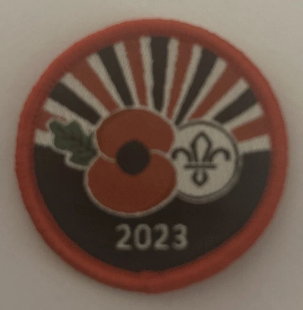 REMEMBRANCE 2023 SCOUT Uniform Badges Beavers Cubs Camp Blanket £1.30