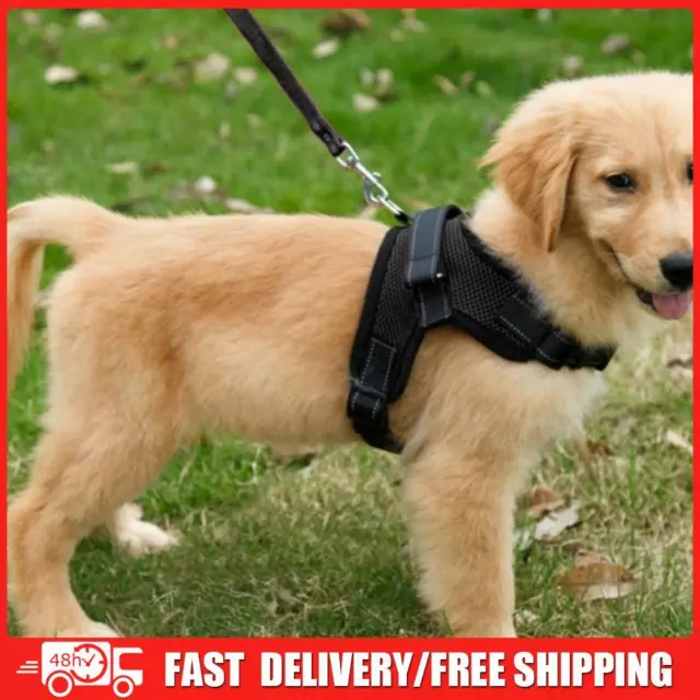 Pet Dog Soft Adjustable Harness Pet Walk Out Hand Strap Vest Collar