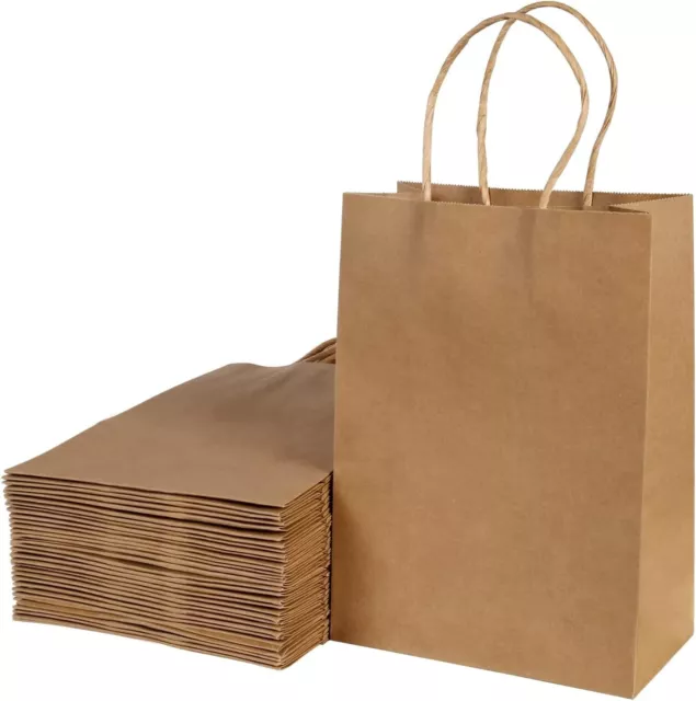 Pack of 30 BROWN PAPER BAGS Twist Handles Kraft Paper Party Gift Bag Carrier