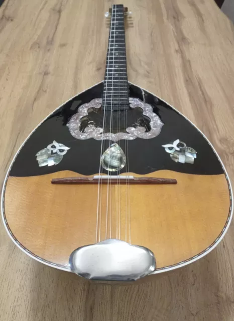 Greek Electric Bouzouki & Softcase & Pickup & 300 Backing track