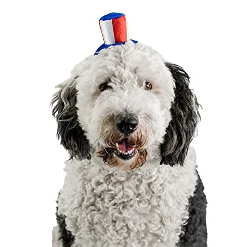 Uncle Sam 4th of July Hat for Large Dogs Headband