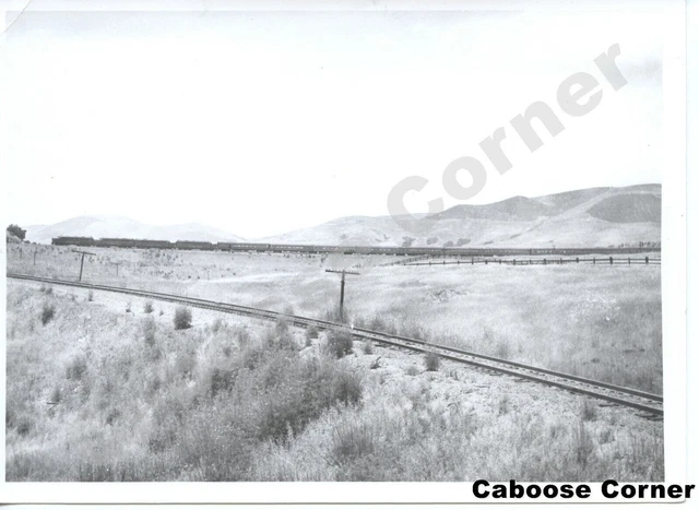 Southern Pacific #98 Daylight Horseshoe Curve near Goldtree B&W Photo (2620)