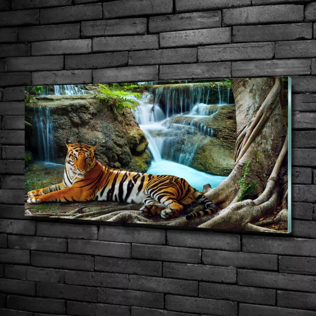 Wandbild aus Plexiglas® Druck auf Acryl 100x50 Tiere Tiger Wasserfall