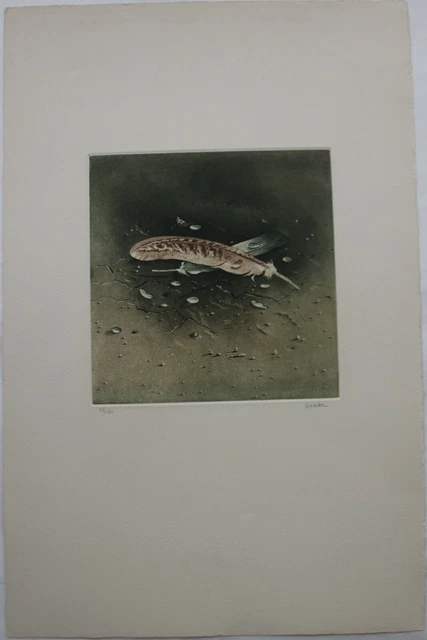 Gravure Fenêtre Gothique - Le Petit Billet