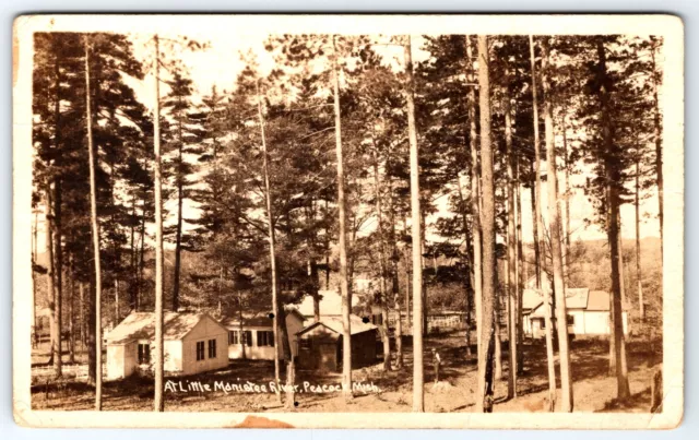 RPPC 1917 Little Manistee River in Peacock Michigan Postcard