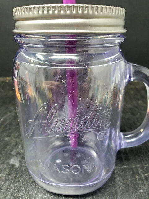 Aladdin 20 oz Insulated Mason Mug Classic Tumbler w/Metal Top & Purple Straw
