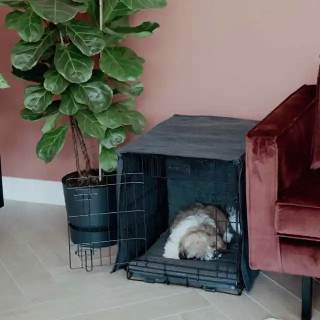 DISTRICT70 Couverture de cage pour chien Gris foncé M