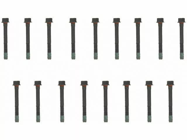 Head Bolt Set For 1996-2002 Chevy Express 2500 6.5L V8 1997 1998 1999 C461DK