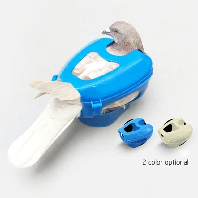 Universal Bird Racing Rack Frame Fixed Pigeon Holder