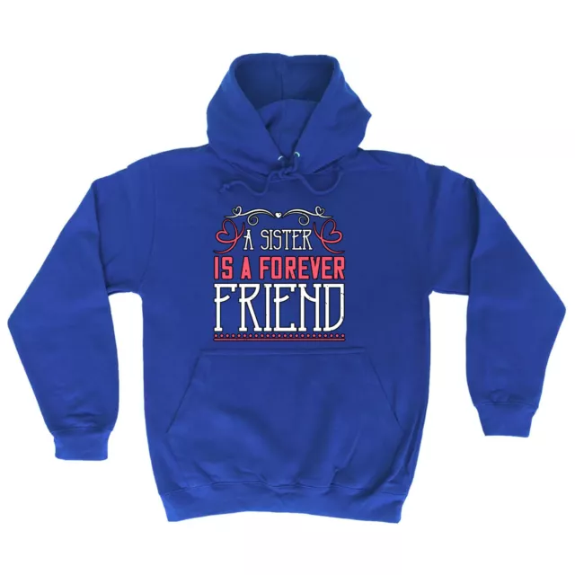 A Sister Is A Forever Friend Funny Novelty Hoodies Premium Hoodie