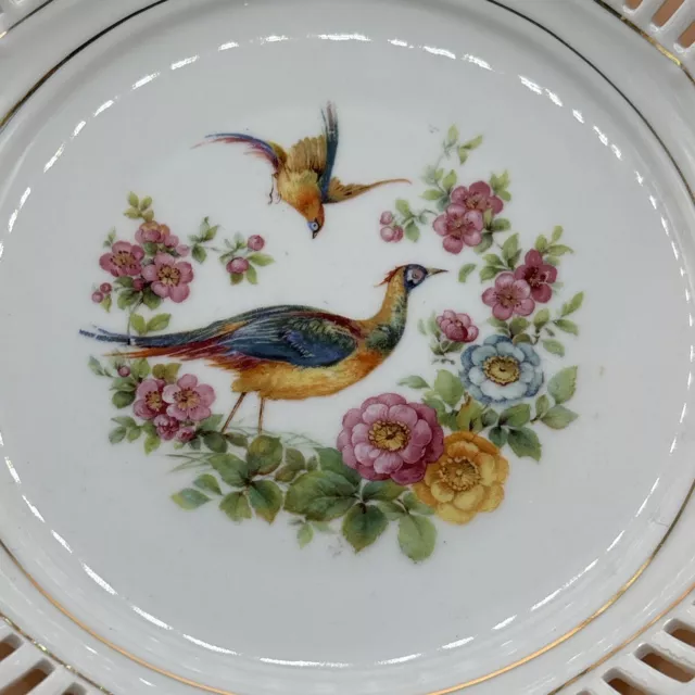 VTG Dresden Bavaria Germany reticulated pheasant bird of Paradise bowl 1920’s 2