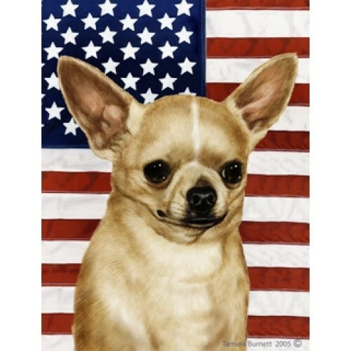 Patriotic (D2) Garden Flag - Chihuahua 320461