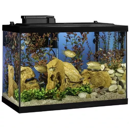 20-Gallon LED Glass Aquarium Starter Kit w/ Filter, Heater & Plants