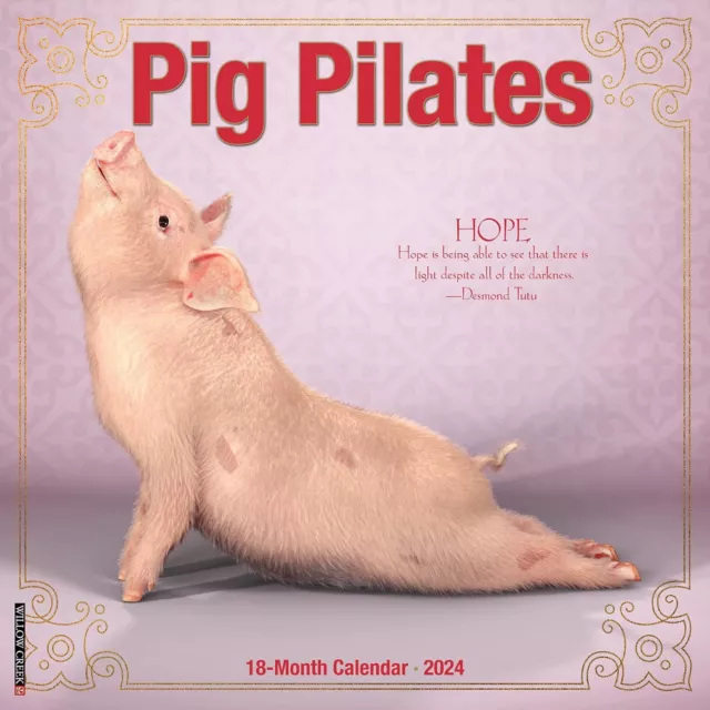 Maiale Pilates - 2024 Calendario da Parete - Nuovo - 34903