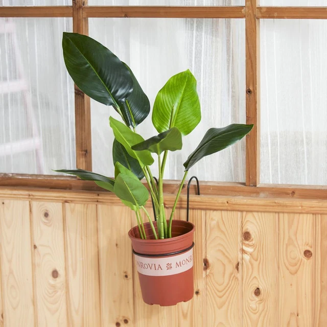 Sill de fenêtre Balcon Pot à fleurs suspendu, Pot de planteur, Garde-corps 8