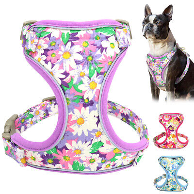Floral Mesh Dog Harness for Small Medium Dogs Reflective Cat Puppy Walking Vests