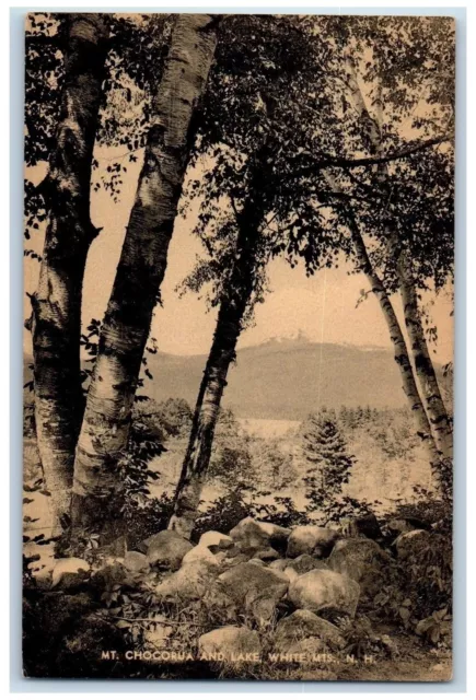 c1940's Mt. Chocorua Lake From Paige Hill NH Birch Tree Postcard