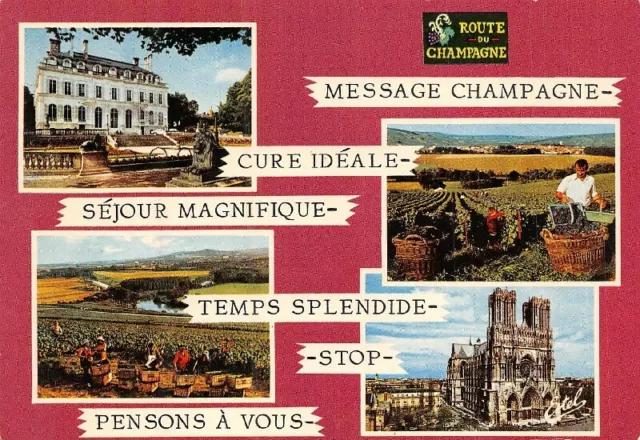 Souvenir de CHAMPAGNE - De la montagne de REIMS à la vallée de la MARNE