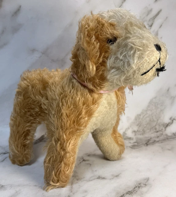 Rare Peluche Chien Caniche Vintage - Tête Pivotante - Yeux En Verre - Paille
