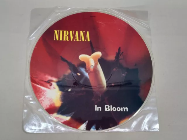 Nirvana- In Bloom Limited Edition Picture Disc  First Press Vinyl 3