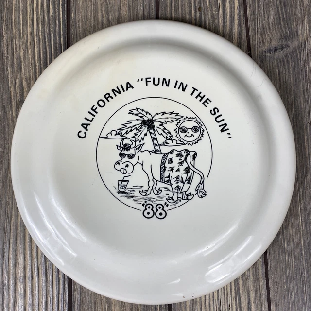 Vintage 1988 California Fun In The Sun White Frisbee Toy