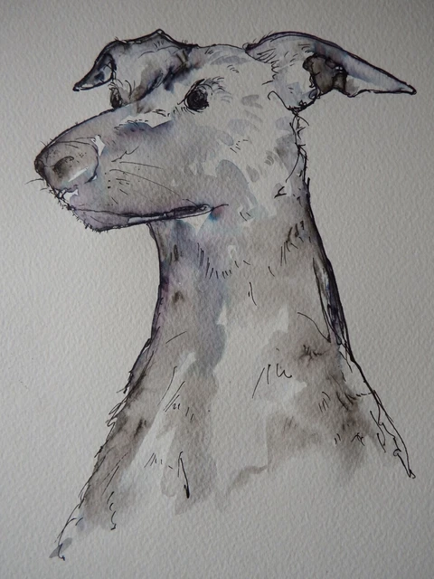 Original hand drawn pen & ink wash drawing head of a dog on watercolour paper